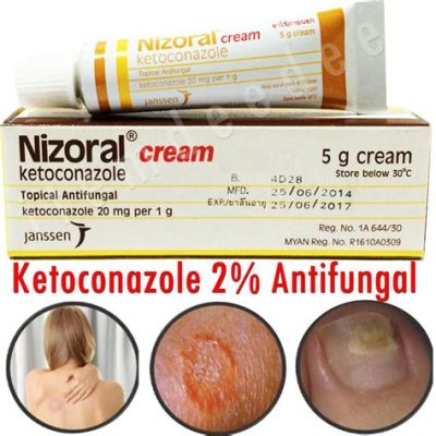  Ketoconazool: Antifungale Eigenschappen Voor Medische Implantaten en Weefselregeneratie!