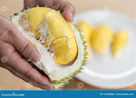  Durian Schillen:  Een Onverwachte Bron van Biologische Vleesvervangers en Duurzame Verpakkingen!