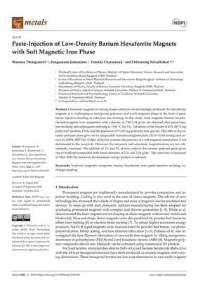 Hexaferrite-Magneten: Een Magnetische Revolutie voor de Automobilenindustrie en de Energieopwekking!