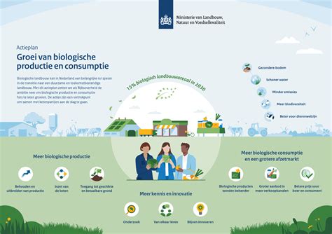  Houtvezels: Verstevigen van Biologische Materialen en Optimaliseren van Papierproductie?