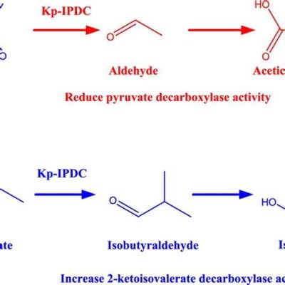  Isobutanol: Een Multifunctionele Synthese voor Kunststoffen en Oplosmiddelen!