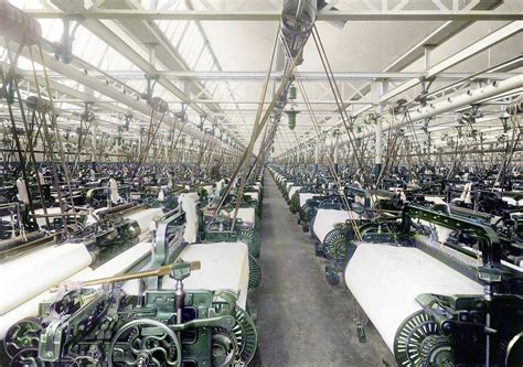  Okra Vezels: Ontdek de Verborgen Schat van de Textielindustrie!