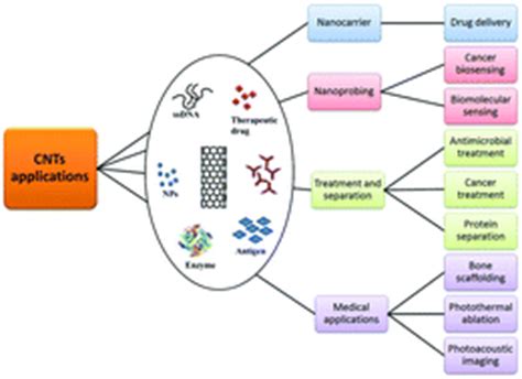  Oligopeptide Nanotubes voor Toepassingen in Geavanceerde Materialen en Geneeskunde!